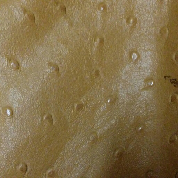 Carryland America ostrich petites handbag - Picture 3 of 8